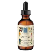 Skullcap (Scutellaria lateriflora)