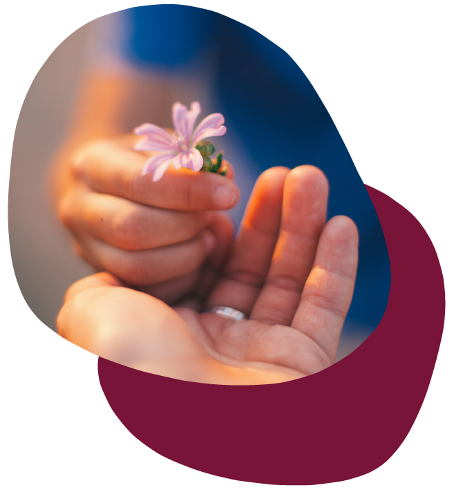 Wise Woman Herbals Wholesale