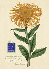 Load image into Gallery viewer, Botanical Posters
