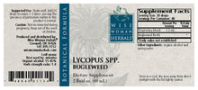 Load image into Gallery viewer, Bugleweed (Lycopus spp.)
