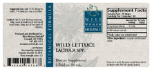 Load image into Gallery viewer, Wild Lettuce (Lactuca spp.)
