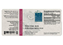 Load image into Gallery viewer, European mistletoe (Viscum album)

